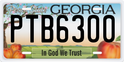 GA license plate PTB6300