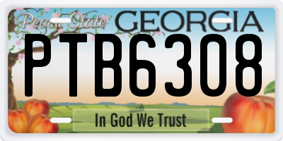 GA license plate PTB6308