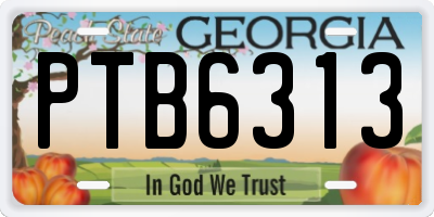 GA license plate PTB6313