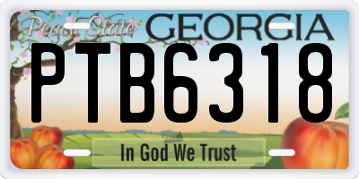 GA license plate PTB6318