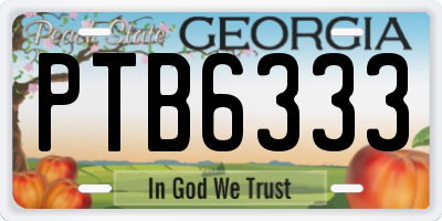 GA license plate PTB6333