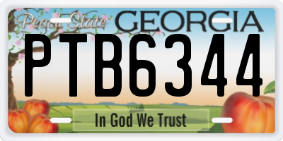 GA license plate PTB6344