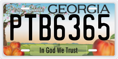 GA license plate PTB6365