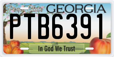 GA license plate PTB6391