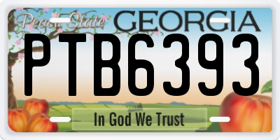 GA license plate PTB6393