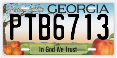 GA license plate PTB6713
