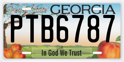 GA license plate PTB6787