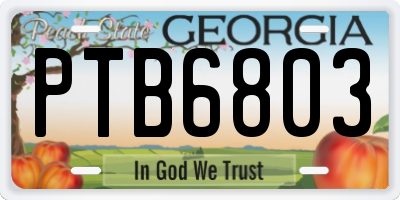 GA license plate PTB6803
