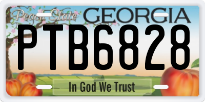 GA license plate PTB6828