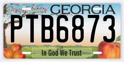GA license plate PTB6873