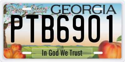 GA license plate PTB6901