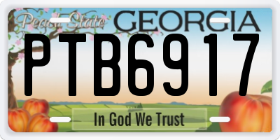 GA license plate PTB6917