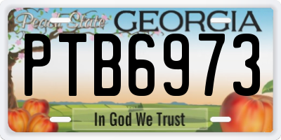 GA license plate PTB6973