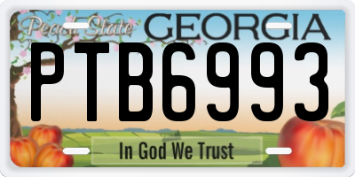 GA license plate PTB6993