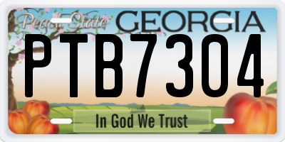 GA license plate PTB7304