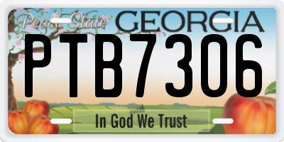 GA license plate PTB7306