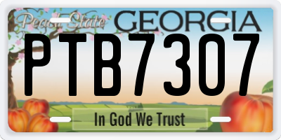 GA license plate PTB7307