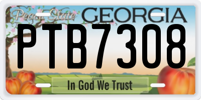 GA license plate PTB7308