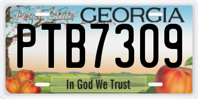 GA license plate PTB7309