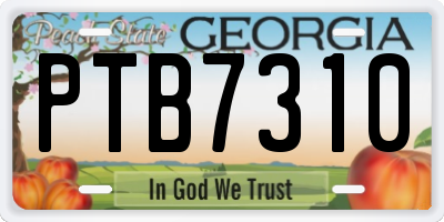 GA license plate PTB7310