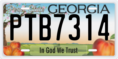 GA license plate PTB7314