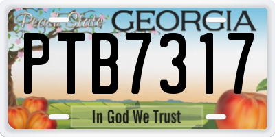 GA license plate PTB7317