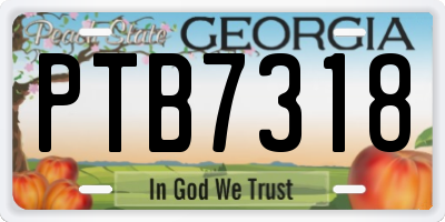 GA license plate PTB7318