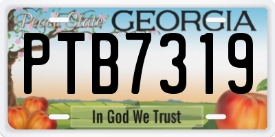 GA license plate PTB7319