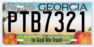GA license plate PTB7321