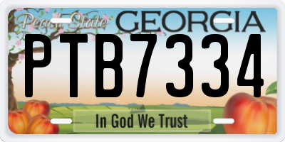 GA license plate PTB7334