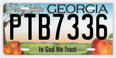 GA license plate PTB7336