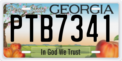 GA license plate PTB7341