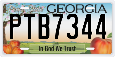 GA license plate PTB7344