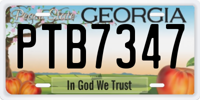 GA license plate PTB7347