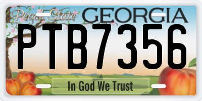 GA license plate PTB7356