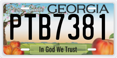 GA license plate PTB7381