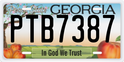 GA license plate PTB7387