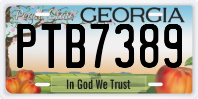 GA license plate PTB7389