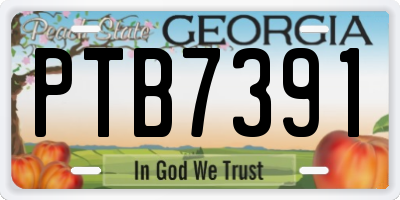 GA license plate PTB7391