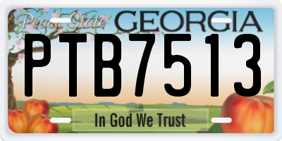 GA license plate PTB7513