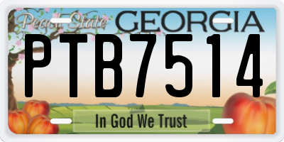 GA license plate PTB7514