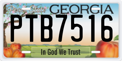 GA license plate PTB7516