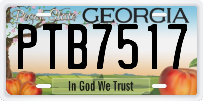 GA license plate PTB7517