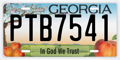 GA license plate PTB7541