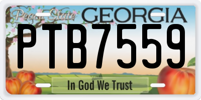 GA license plate PTB7559