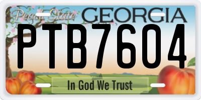 GA license plate PTB7604