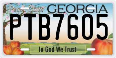 GA license plate PTB7605