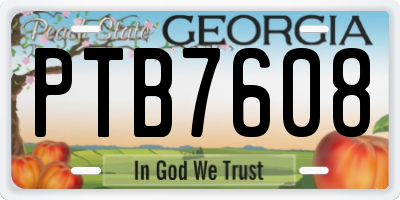 GA license plate PTB7608