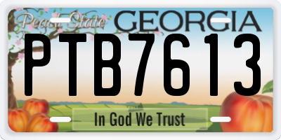 GA license plate PTB7613