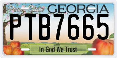 GA license plate PTB7665
